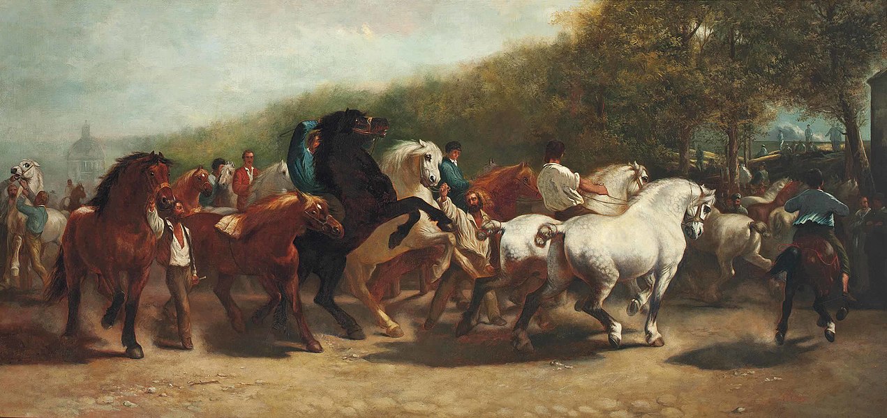 rosa bonheur - image 9