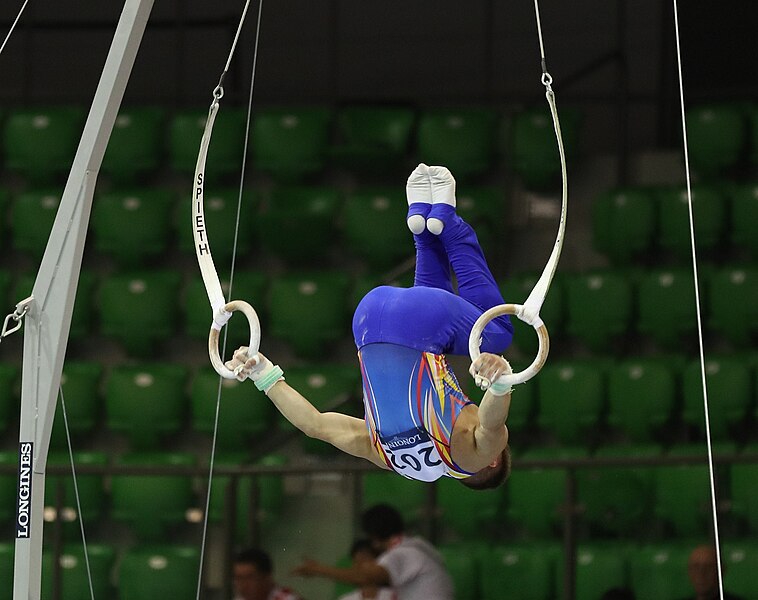 File:2019-06-27 1st FIG Artistic Gymnastics JWCH Men's All-around competition Subdivision 3 Still rings (Martin Rulsch) 081.jpg