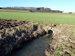 Ditches in Upper Swabia