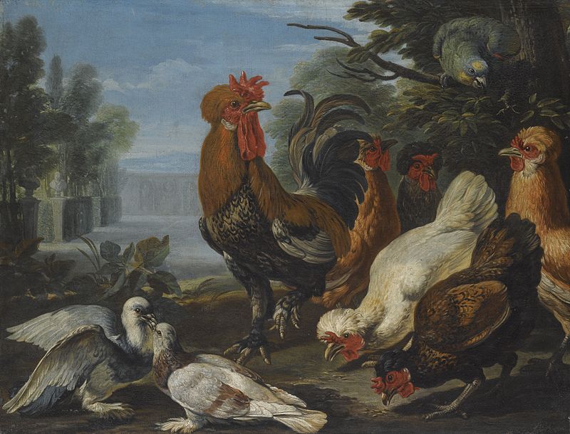 A Cockerel, Hens, Doves and a Parrot by David de Coninck.jpg