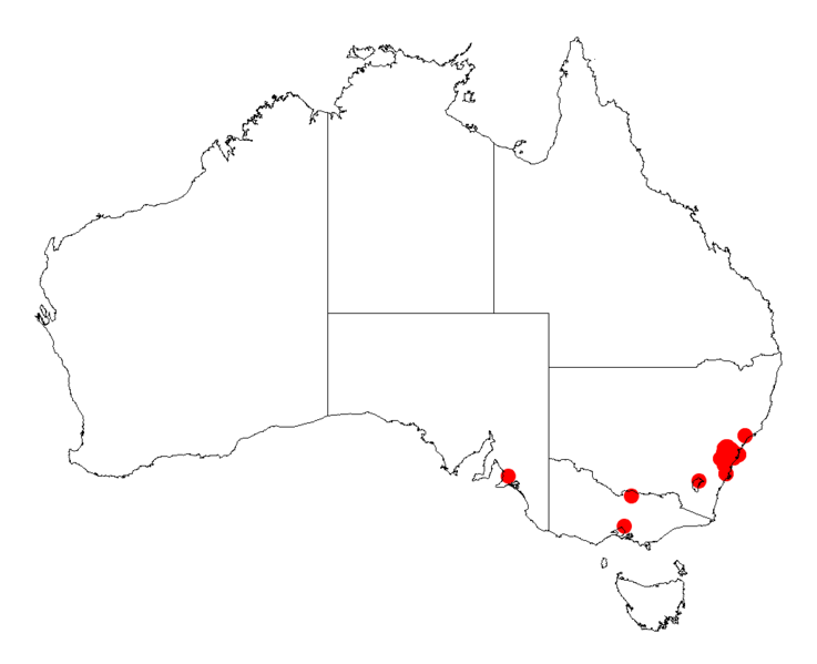 File:Acacia pubescensDistMap729.png