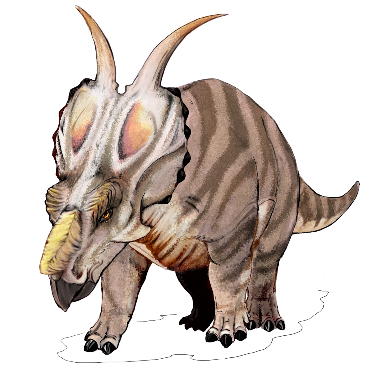 L'Achelousaurus 1200px-Achelousaurus_dinosaur