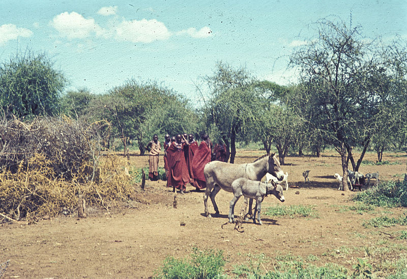 File:Afrika1963-015 hg.jpg