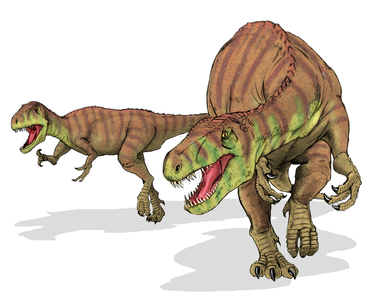 File:Afrovenator abakensis dinosaur.png