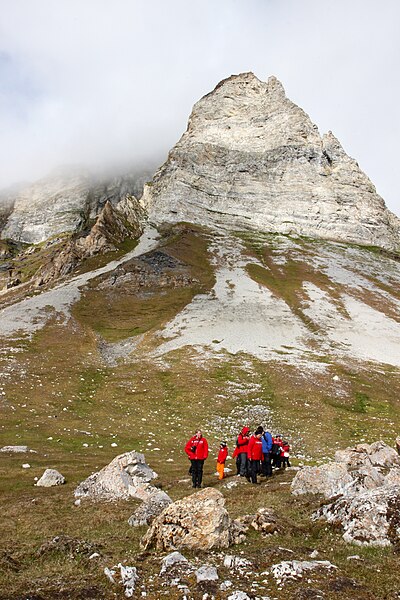 File:Alkhornet, Svalbard, Arctic (20283861985).jpg