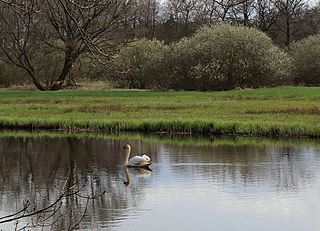 Alte Röder Nature Reserve