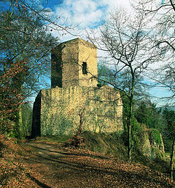 Alt-Wolfstein castle ruin (monumental zone) Altwolfstein.jpg