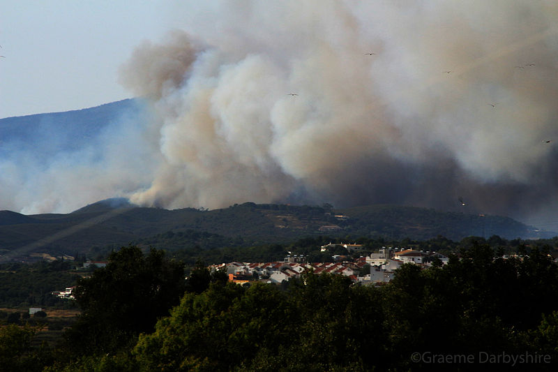 File:Alvor Wild Fire June 2014 (14471436424).jpg