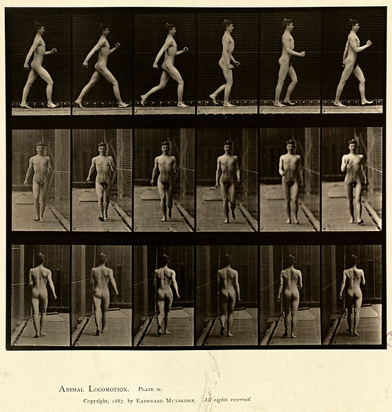 File:Animal locomotion. Plate 10 (Boston Public Library).jpg