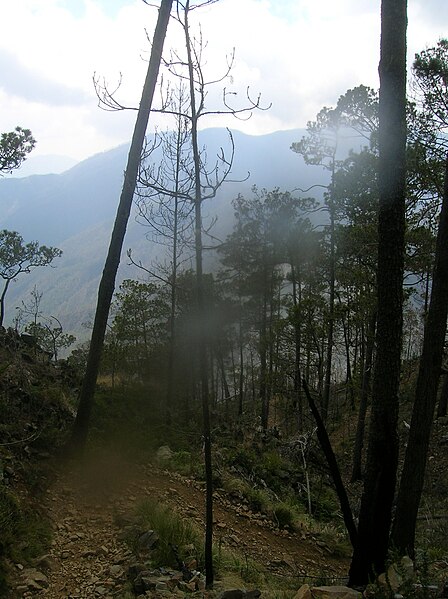 File:Approaching the peak of Pico Duarte.jpg