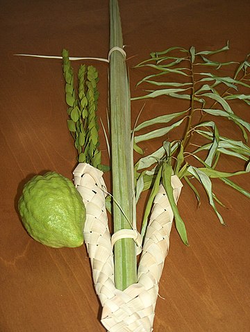 Lulav