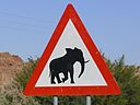 Attention elephant desert
