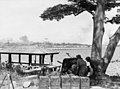 Image 90Australian anti-tank gunners overlooking the Johor Causeway between Singapore and Malaya in February 1942 (from Military history of Australia during World War II)