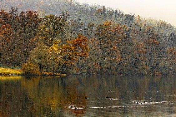 Autunno sulle rive del Ticino