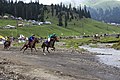Bakhmaro Horse racing.jpg