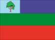 Vlag van Anamã