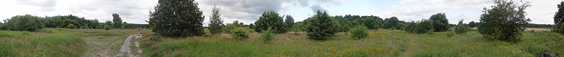 File:Barger Heide (Stade 2007-07) - panoramio.jpg