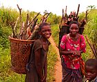 Basankusu collecting firewood by Francis Hannaway.jpg