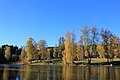 Bassengparken er Gjøviks første større park, og utmerker seg med de mange vakre hengebjørkene. Dammen, som er på størrelse med et lite tjern, har en god bestand av småsalamander.