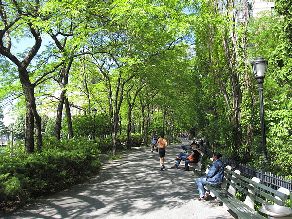 Greenery at South Cove