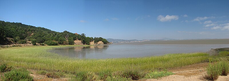 File:Bay view from China Camp Park.jpg