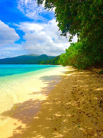 Beach-in-Worearu-Village-on-Pele-Island-Vanuatu.jpg