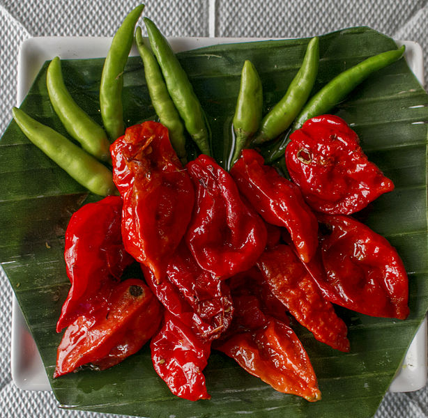 File:Bhoot Jolokia ( Ghost Chili pepper ).jpg