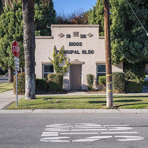 Biggs chiropractor