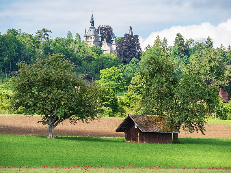 File:Blick Gemark Binder Schloss Castell Tägerwilen.jpg