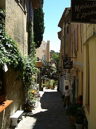 <span class="mw-page-title-main">Bormes-les-Mimosas</span> Commune in Provence-Alpes-Côte dAzur, France