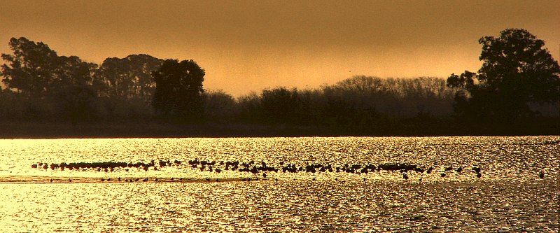 File:Bragado Partido, Buenos Aires Province, Argentina - panoramio (14).jpg