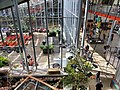 Inside the California Academy of Sciences in San Francisco, CA