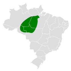 Distribución geográfica del picoguadaña del Tapajós.