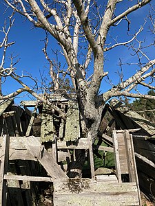 Carkeek Observatory MRD 09.jpg