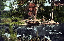 A hand-colored photograph of Cascades Park in 1912