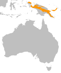 Casuarius bennetti distribution map.png