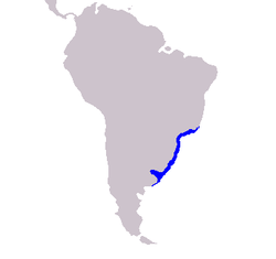 Cetacea range map La Plata River Dolphin.PNG