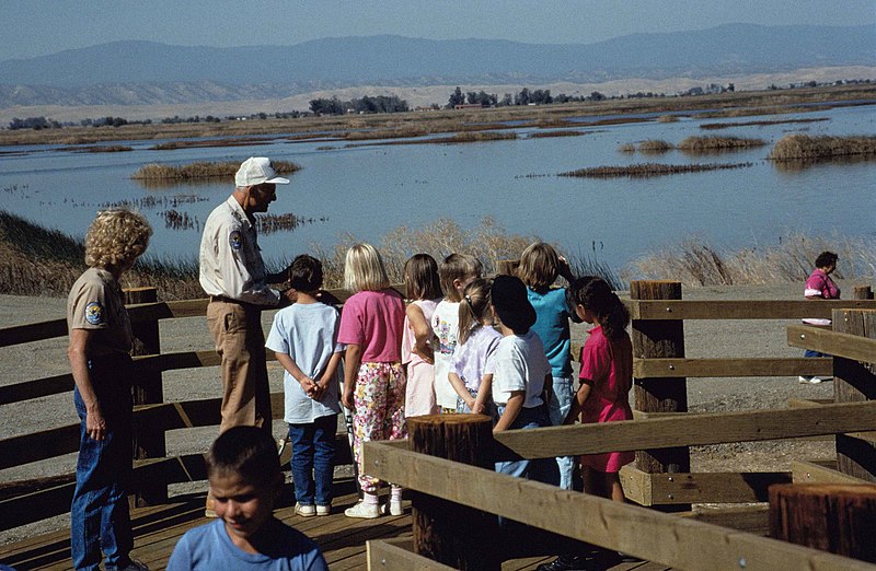 File:Children from primary schools enjoy a holiday in the nature.jpg