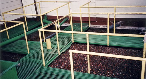 Coffee Processing Seperation vats