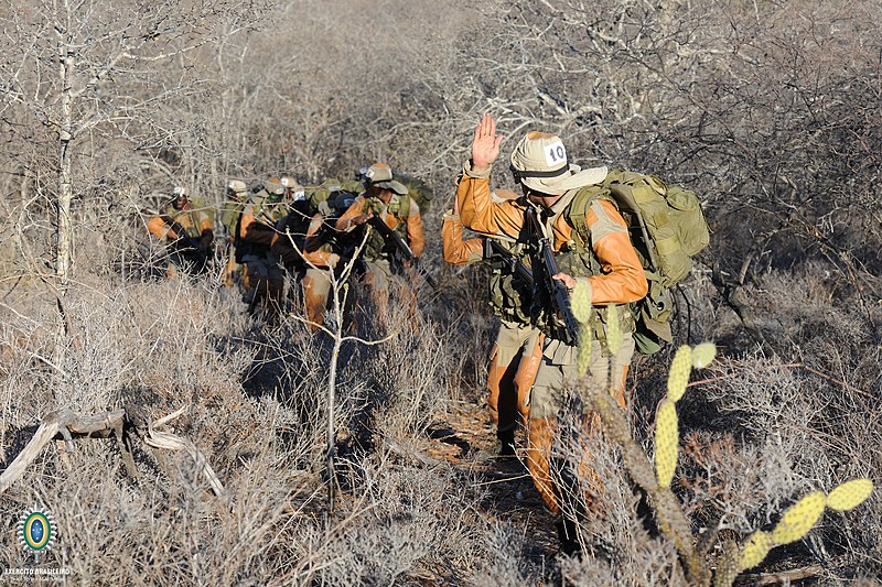 File:Combatente da Caatinga (26427352440).jpg