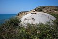 Bunker at the coast of Albania (CC Concrete Mushrooms)