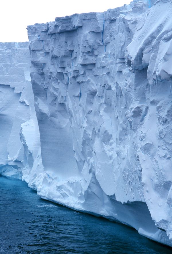 The Ross Ice Shelf is Antarctica's largest. It is about the size of France and up to several hundred metres thick.