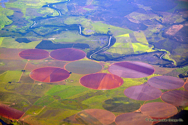 File:Crops at Brazil (8787760486).jpg