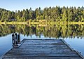* Nomination Cusheon Lake, Saltspring Island, British Columbia --Podzemnik 00:29, 1 August 2018 (UTC) * Promotion  Support Lovely nature. Good quality. -- Johann Jaritz 02:11, 1 August 2018 (UTC)