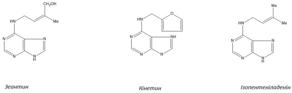 Cytokinine examples.tiff