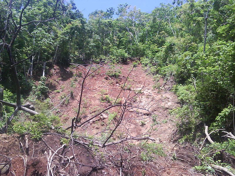 File:DESLIZAMIENTO DE TIERRA DESPUES DE LA TORMENTA AGATHA, 2010 - panoramio.jpg