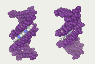 Abalone (molecular mechanics) molecular dynamics and molecular graphics computer program