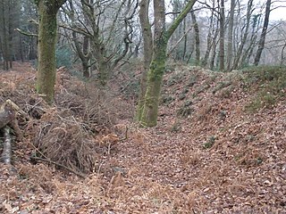 <span class="mw-page-title-main">Wooston Castle</span> Iron Age hill fort in Devon, England