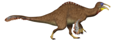 Deinocheirus UDL.png