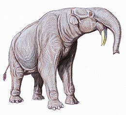 A Deinotherium giganteum rekonstrukciója